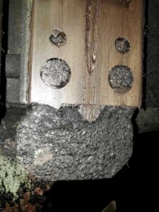 熱間鍛造プレス TMP Voronezh K04.019.840 - 1000 トン (写真 2)