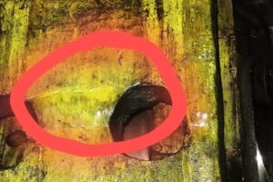 熱間鍛造プレス TMP Voronezh KB8544 - 2500 トン (写真 6)